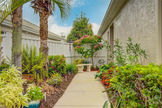 view of yard featuring a patio area