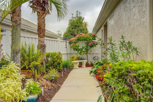 view of yard featuring a patio