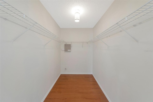 spacious closet featuring hardwood / wood-style flooring and electric panel