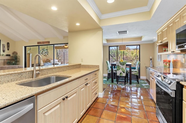 kitchen with sink, crown molding, stainless steel appliances, a tray ceiling, and light stone countertops