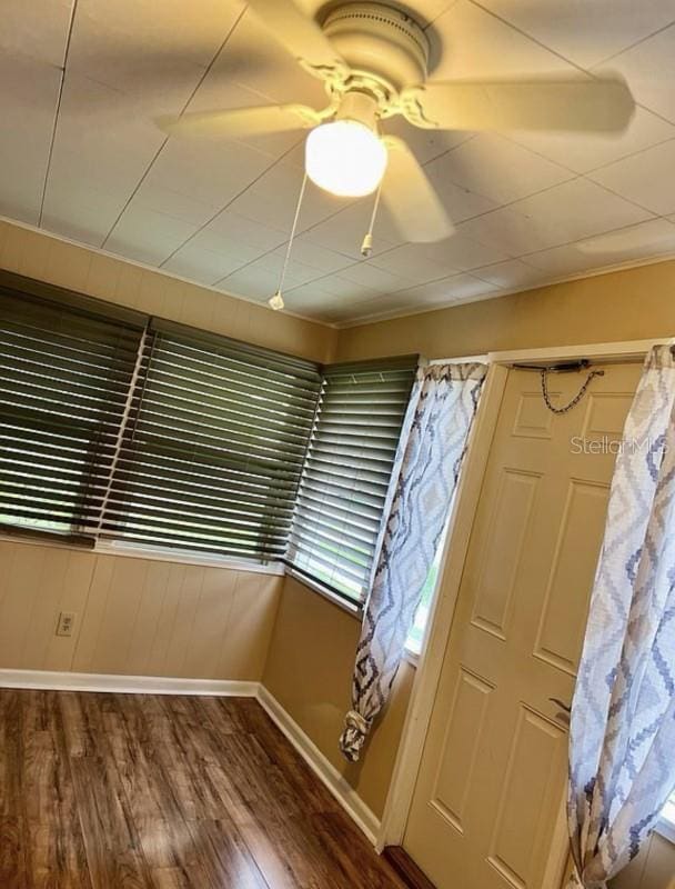 foyer with hardwood / wood-style floors and ceiling fan