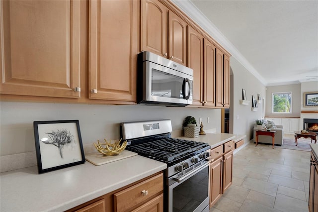 kitchen featuring crown molding and stainless steel appliances