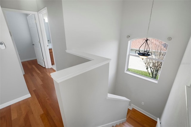 staircase featuring hardwood / wood-style flooring