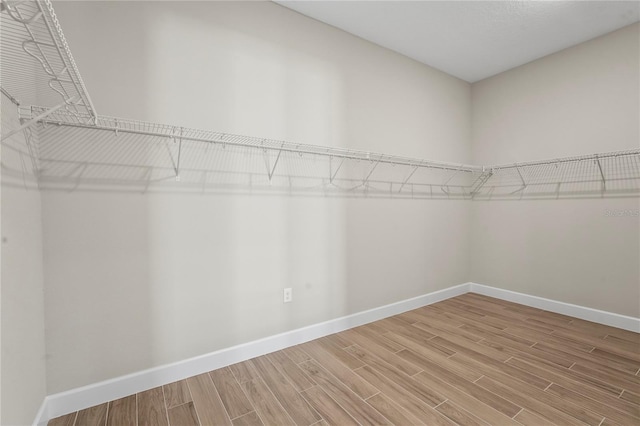 walk in closet featuring wood finished floors