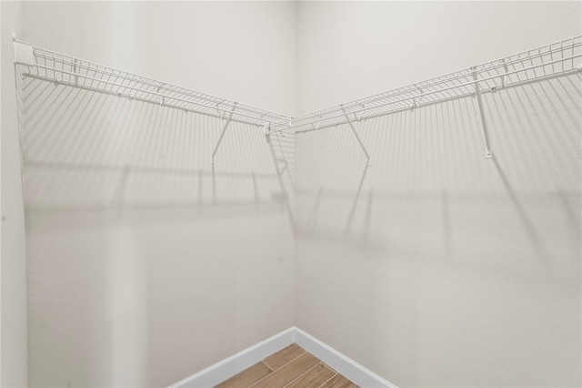 spacious closet featuring wood finished floors