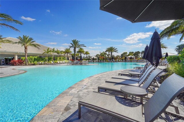 pool featuring a patio area