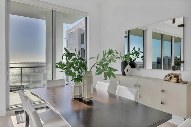 dining space featuring plenty of natural light