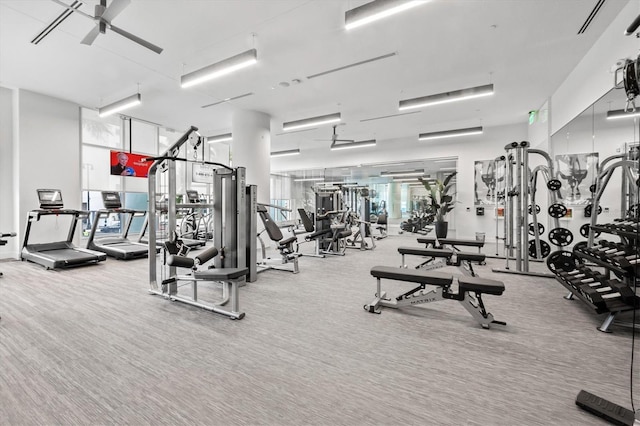 exercise room with ceiling fan and carpet flooring