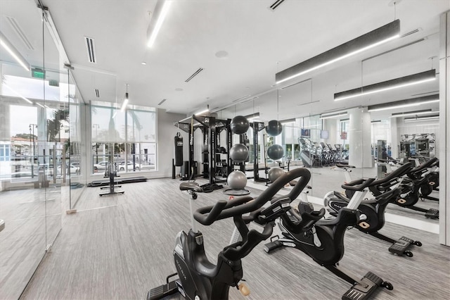 exercise room with light carpet and a wall of windows