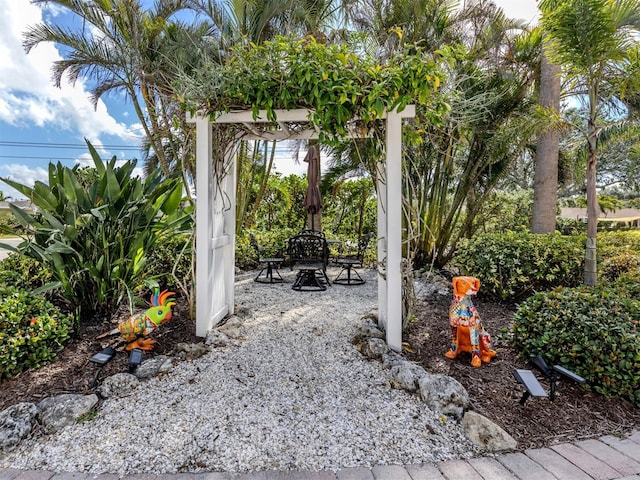 view of yard featuring a pergola