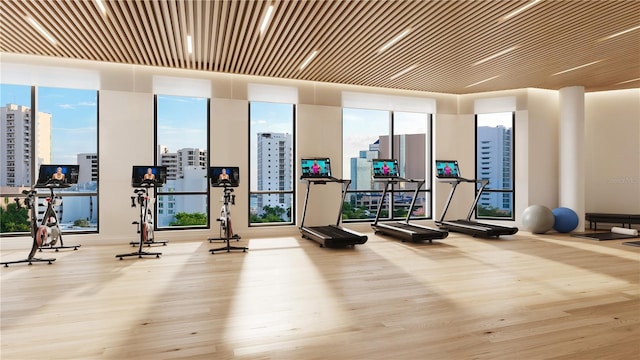 gym with floor to ceiling windows, a wealth of natural light, and light hardwood / wood-style flooring