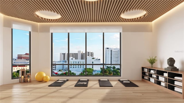 workout room with wood-type flooring