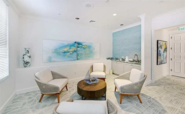 living area featuring ornamental molding and sink