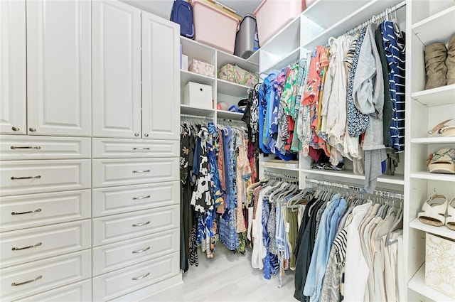 view of spacious closet