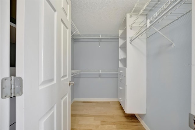 walk in closet with light wood finished floors