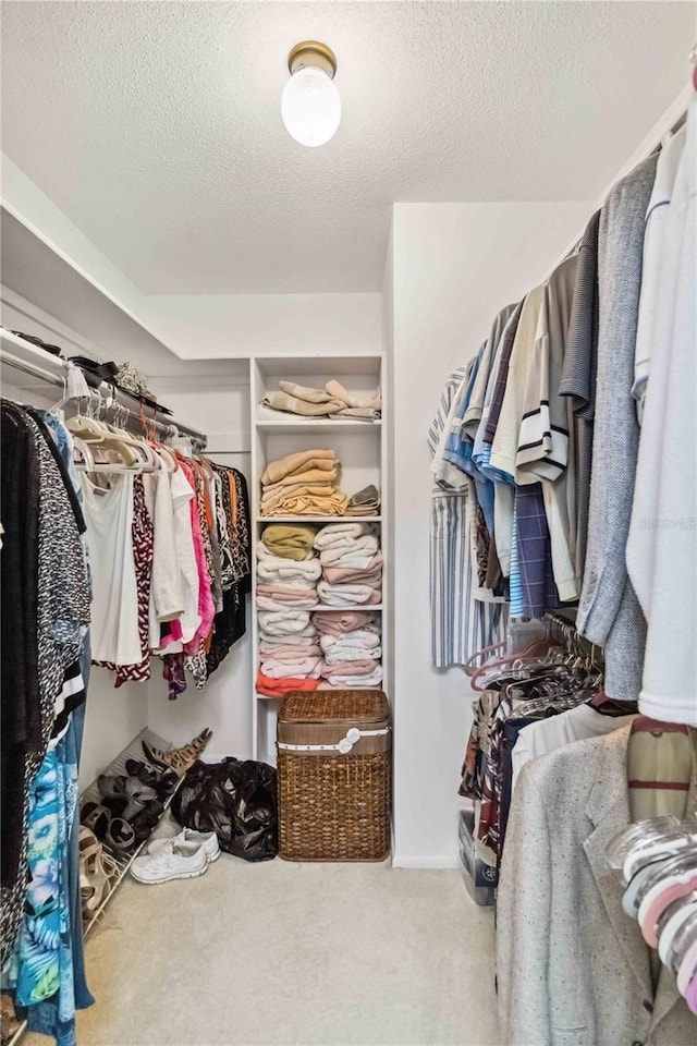 534 Warwick Ln, Venice, FL 34293 - walk in closet featuring carpet