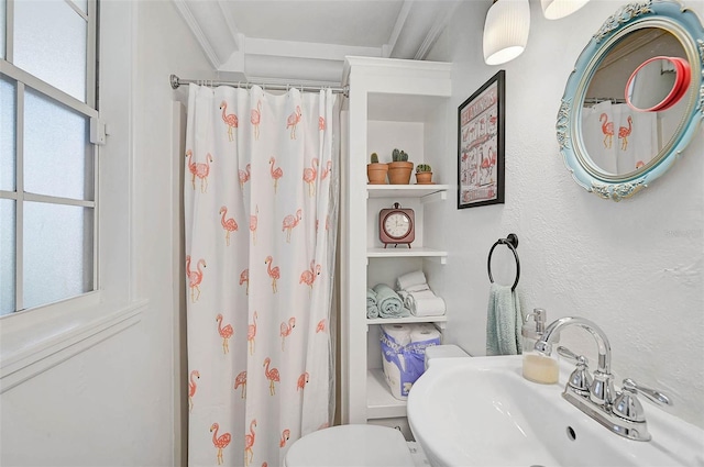 bathroom with toilet, curtained shower, and sink