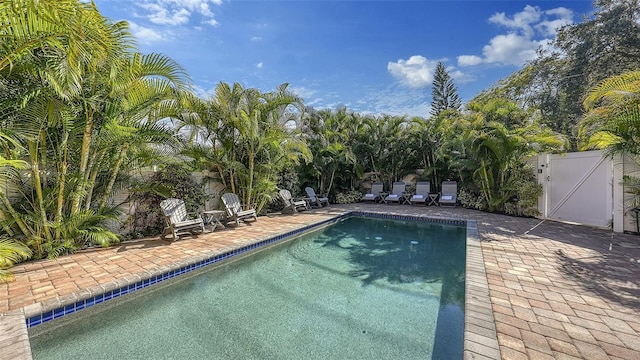 view of pool with a patio, a gate, a fenced in pool, and fence