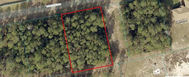 8006-0607-03 SW 175th Street Rd, Ocala FL, 34473 land for sale