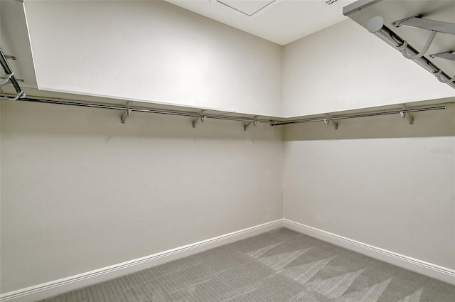 552 Bocelli Dr, North Venice, FL 34275 - walk in closet featuring carpet