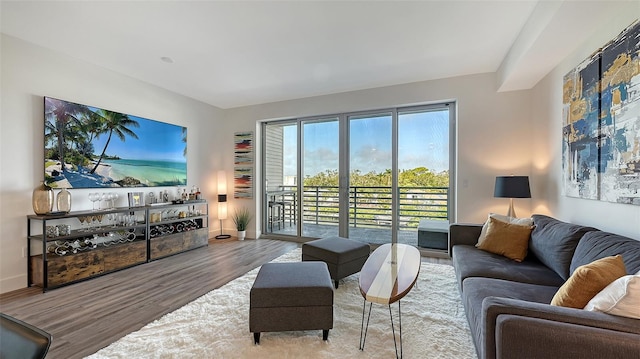 living area featuring baseboards and wood finished floors