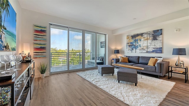 living area featuring baseboards and wood finished floors