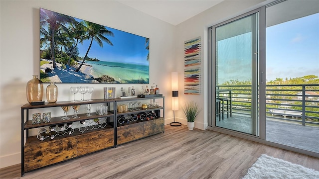 interior space with a bar, baseboards, and wood finished floors