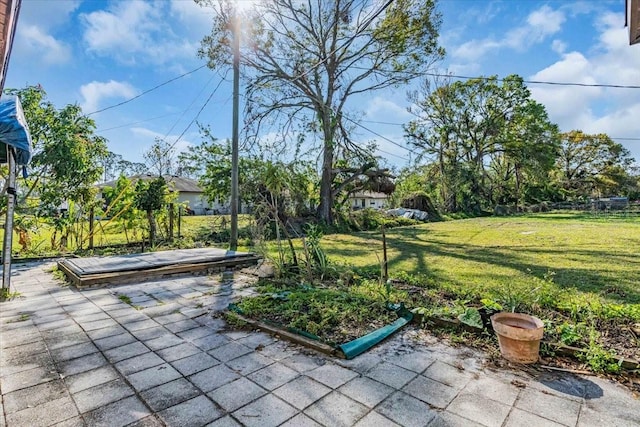 view of yard with a patio