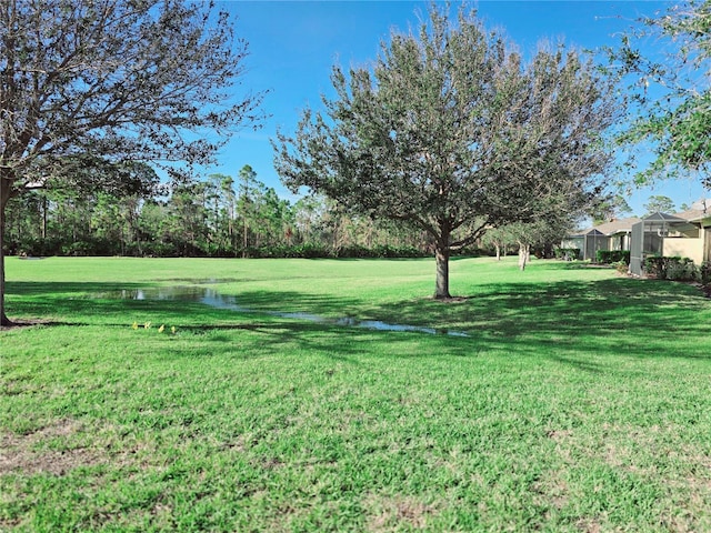 view of yard featuring a water view