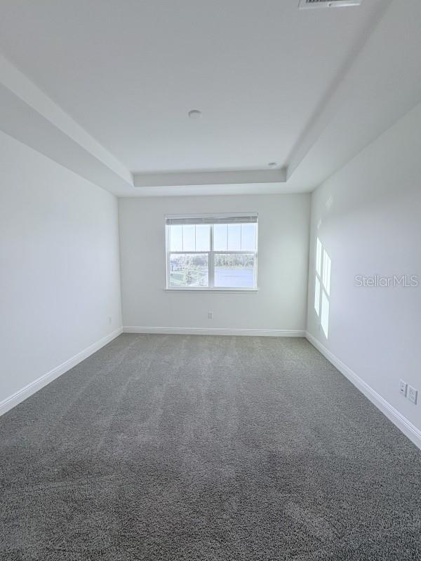 unfurnished room featuring a tray ceiling, baseboards, and carpet flooring