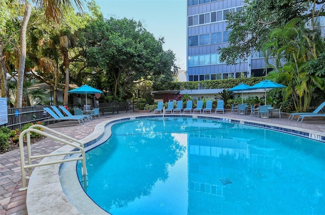 view of pool with a patio area