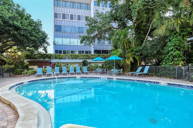 view of swimming pool