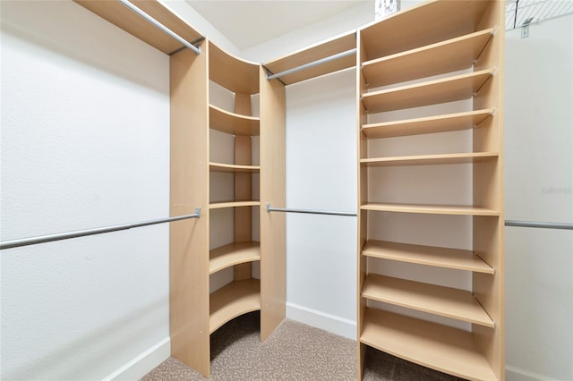 walk in closet with carpet flooring