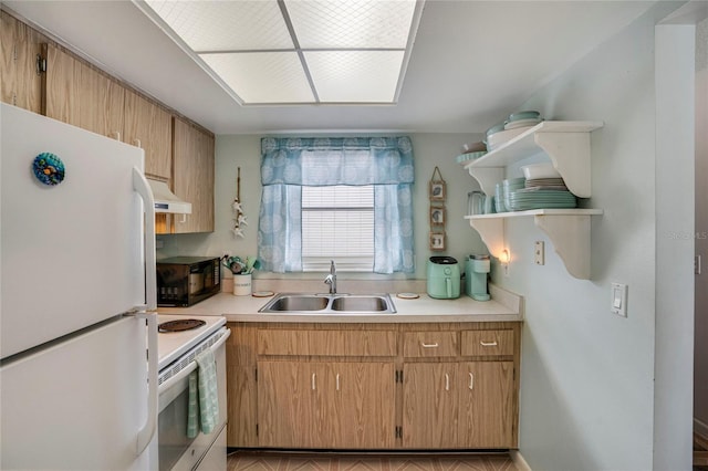 kitchen with white appliances, brown cabinets, light countertops, under cabinet range hood, and a sink