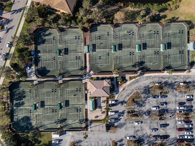 bird's eye view