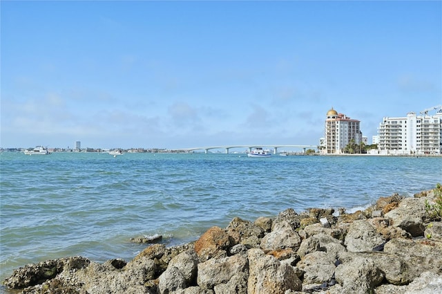 view of water feature featuring a view of city