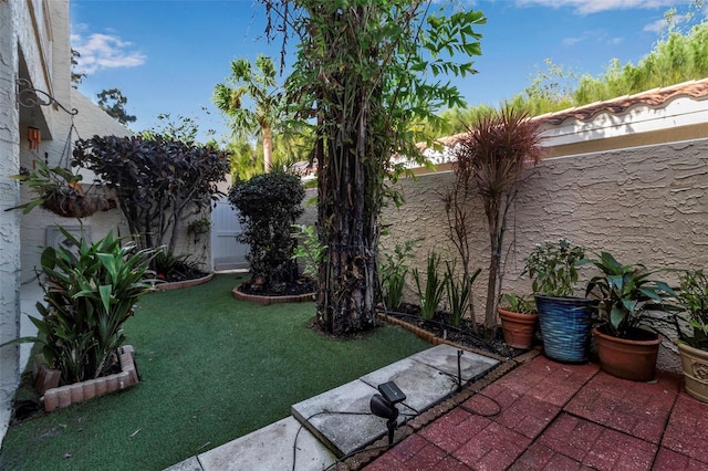 view of yard with a patio area