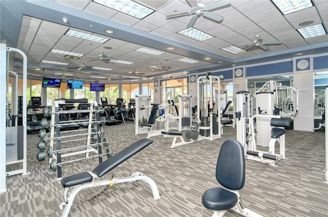 7649 Quinto Dr, Sarasota, FL 34238 - gym featuring carpet, a ceiling fan, and a drop ceiling