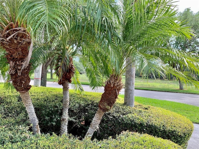 7649 Quinto Dr, Sarasota, FL 34238 - view of community