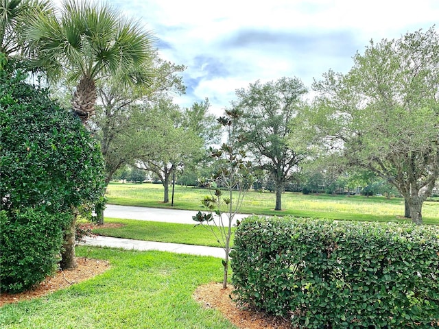 7649 Quinto Dr, Sarasota, FL 34238 - view of community with a yard