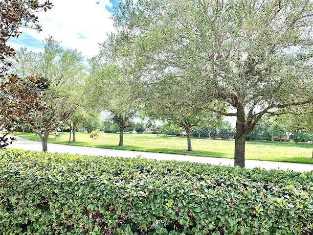 7649 Quinto Dr, Sarasota, FL 34238 - view of yard