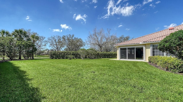7649 Quinto Dr, Sarasota, FL 34238 - view of yard
