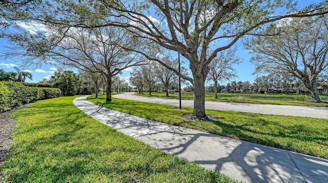 7649 Quinto Dr, Sarasota, FL 34238 - surrounding community with a yard