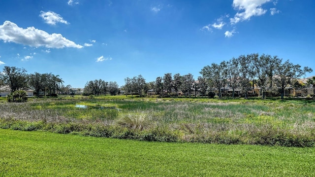 7649 Quinto Dr, Sarasota, FL 34238 - view of landscape