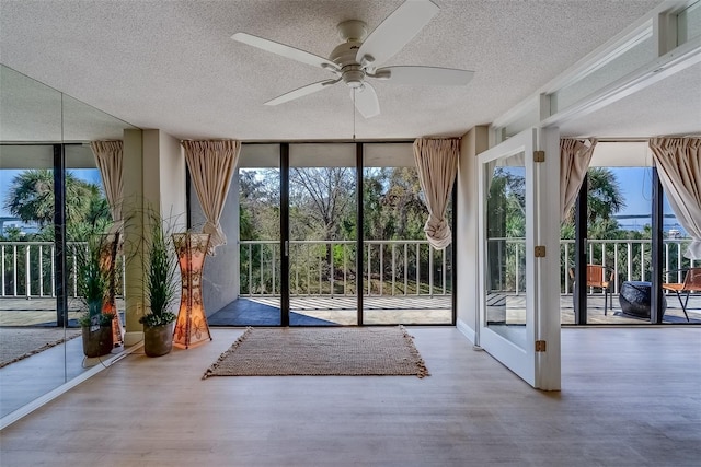 entryway featuring a wall of windows, wood finished floors, and a healthy amount of sunlight