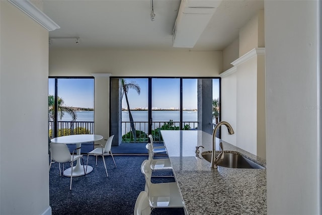 kitchen with carpet floors, a water view, stone countertops, a sink, and track lighting