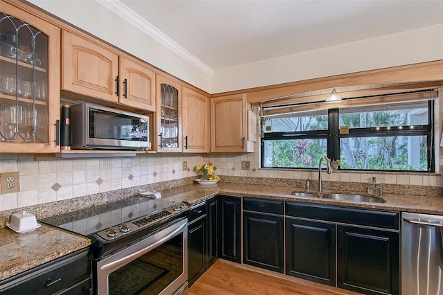 kitchen with tasteful backsplash, glass insert cabinets, stainless steel appliances, and a sink