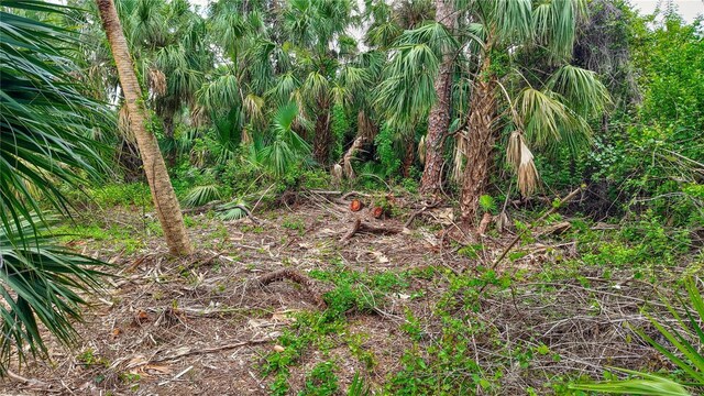 2625 Yuma Ave, North Port, FL 34286 - photo 66