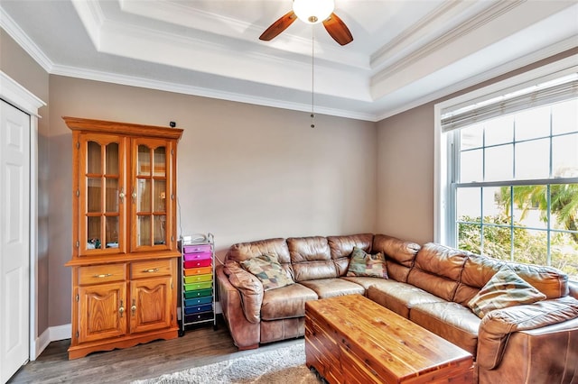 living area featuring ornamental molding, wood finished floors, and a raised ceiling