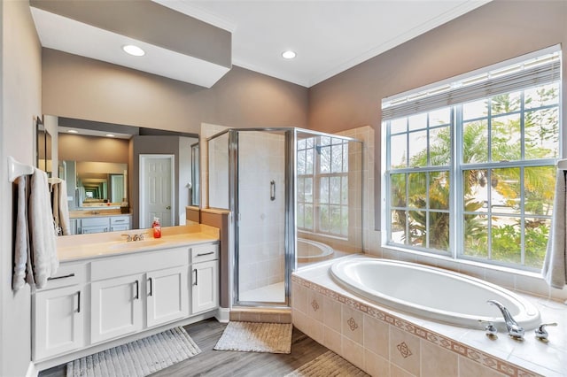 bathroom featuring a healthy amount of sunlight, a garden tub, a shower stall, and vanity